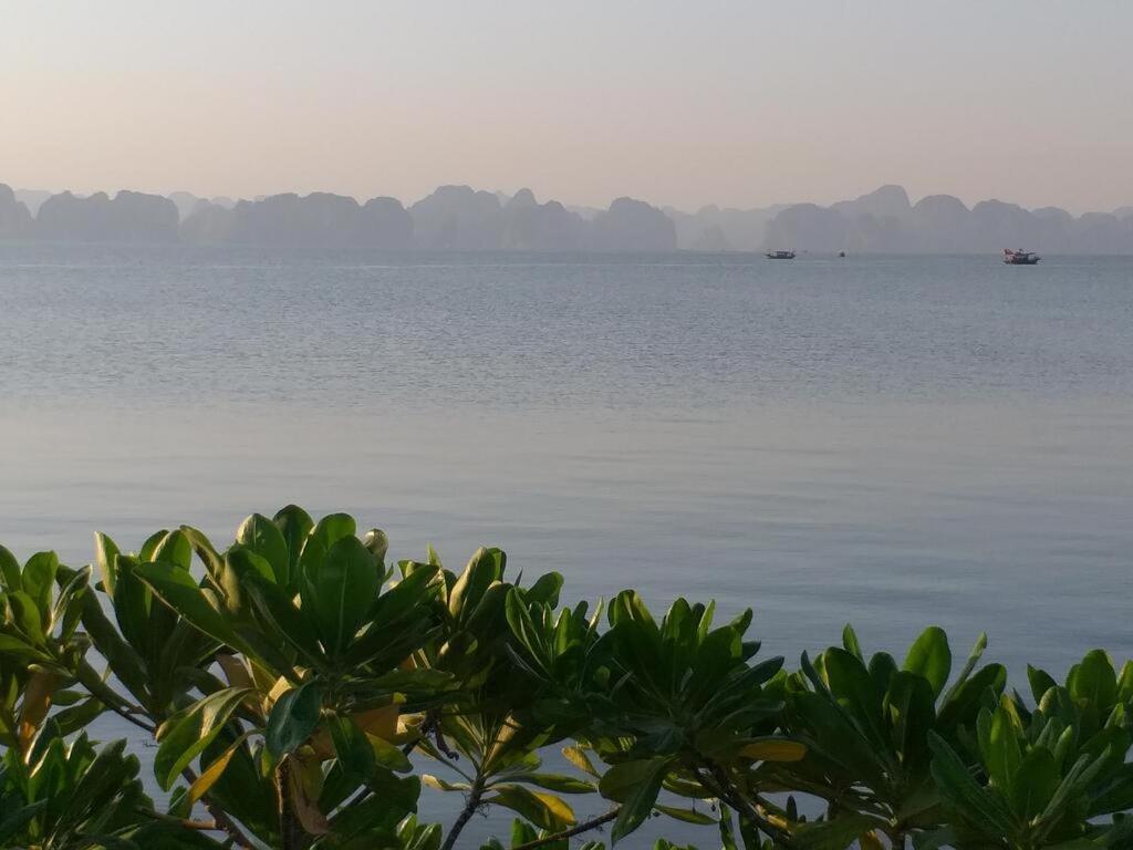 Apartament Cozy House Ha Long Zewnętrze zdjęcie